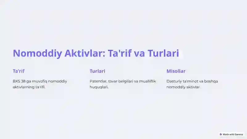 Nomoddiy Aktivlar Auditiga Kirish 2