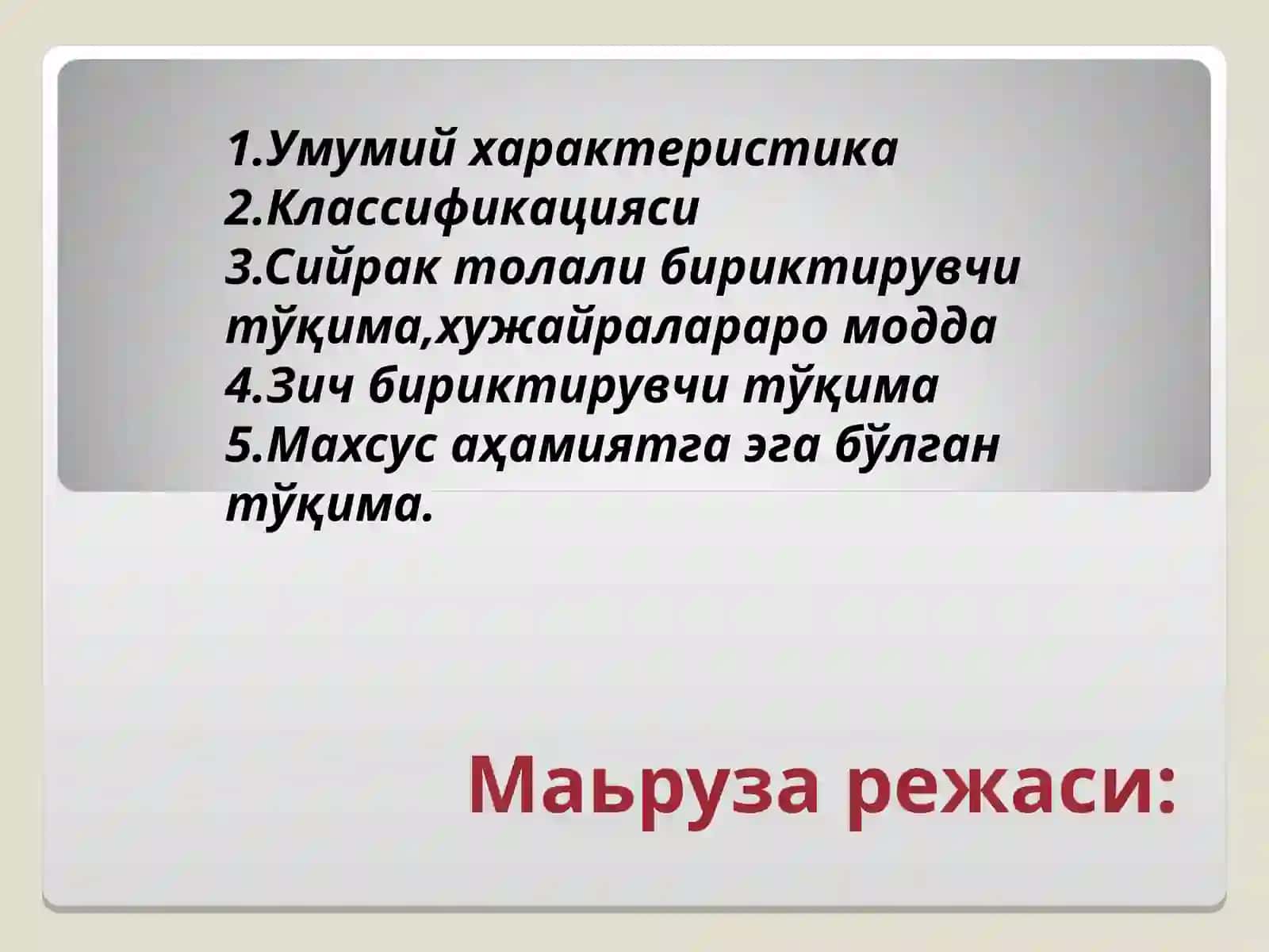 Асл бириктирувчи тўқима 2