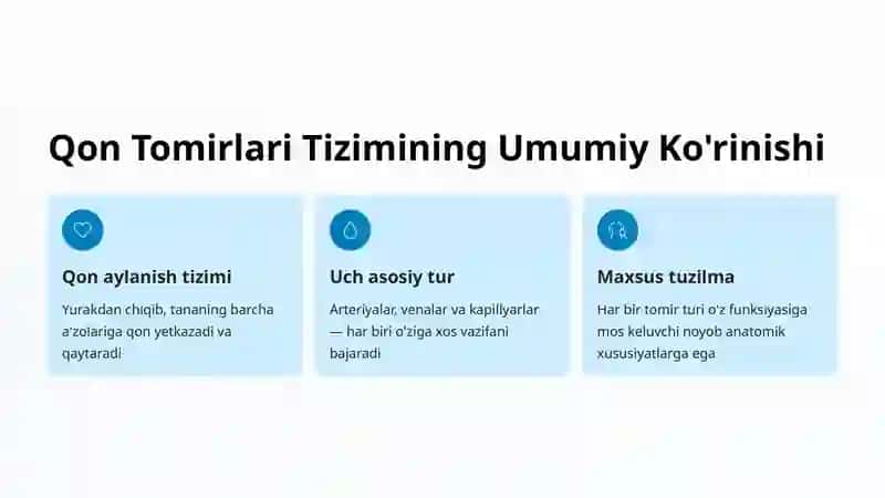 Qon Tomirlari: Arteriya, Vena va Kapillyarlarning Tuzilishi 2