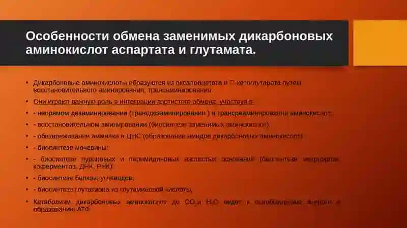 Обмен отдельных аминокислот 2