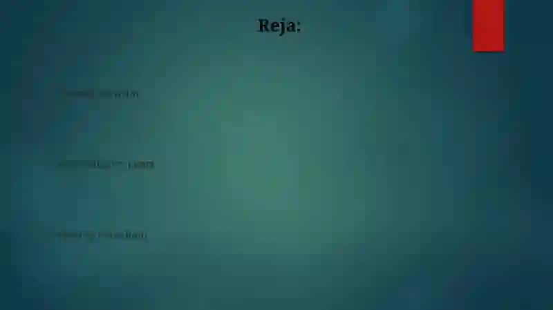Mening shahrim mening mahallam 2