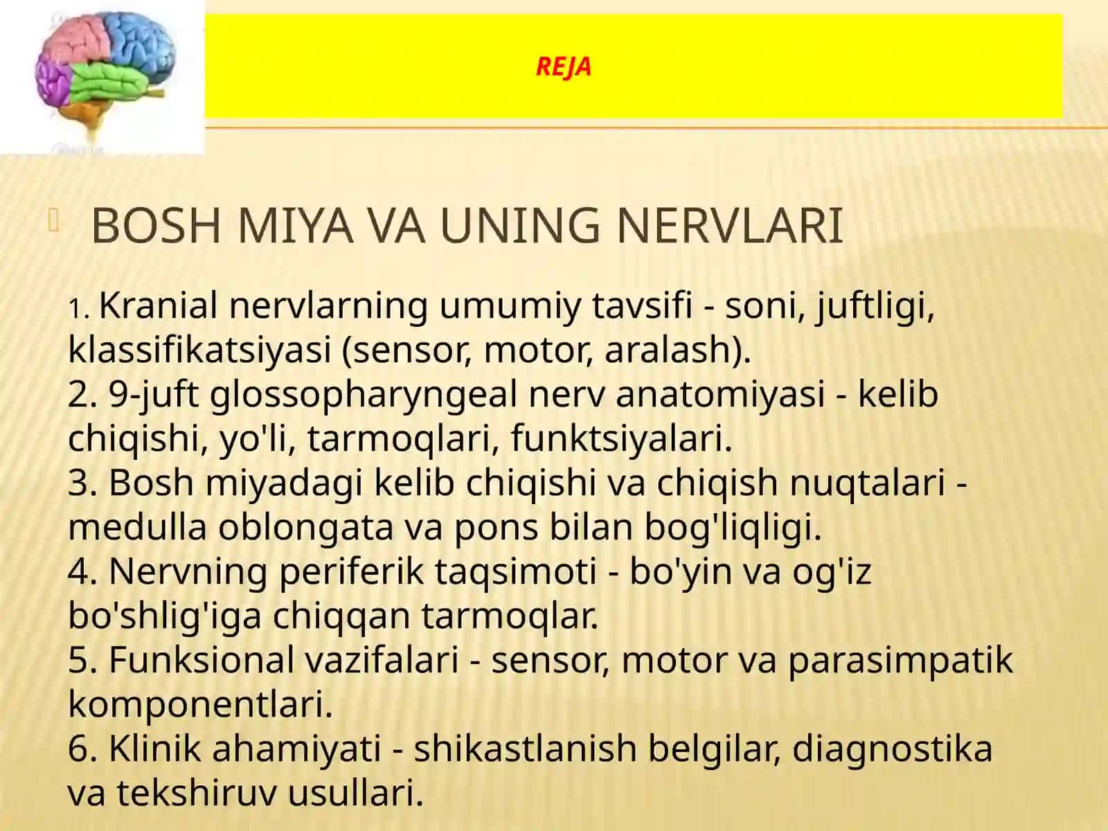 9 juft nerv’’ mavzusi taqdimoti 2