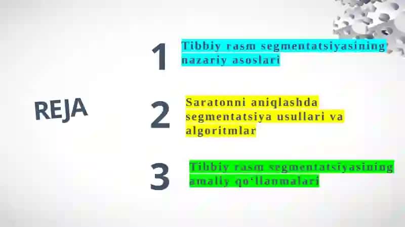 Tibbiy rasm segmentatsiyasi: Saratonni aniqlashda qo‘llanmalar 2