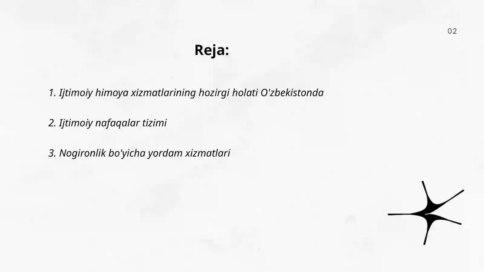 Ijtimoiy himoya xizmatlar tizimi 2