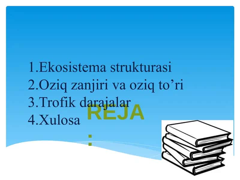 Ekotizimlarning trofik strukturasi 2