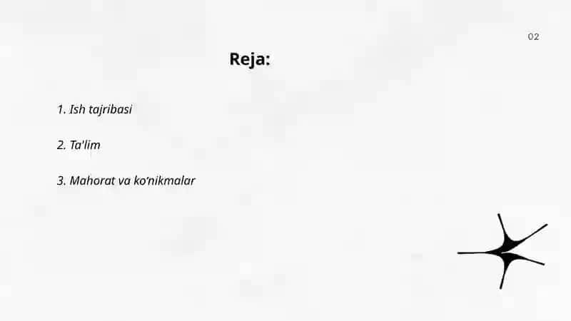 Ish tajribasi 2