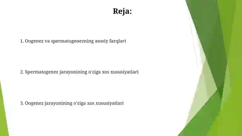 Oogenez va Spermatogenezning oʻziga xosligi 2