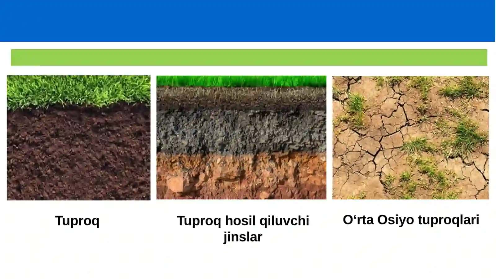 Tuproqning Ona Jinsi 2