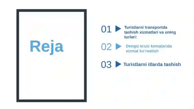 Turistlarga maxsus transport vositalarida xizmat kôrsatish 2