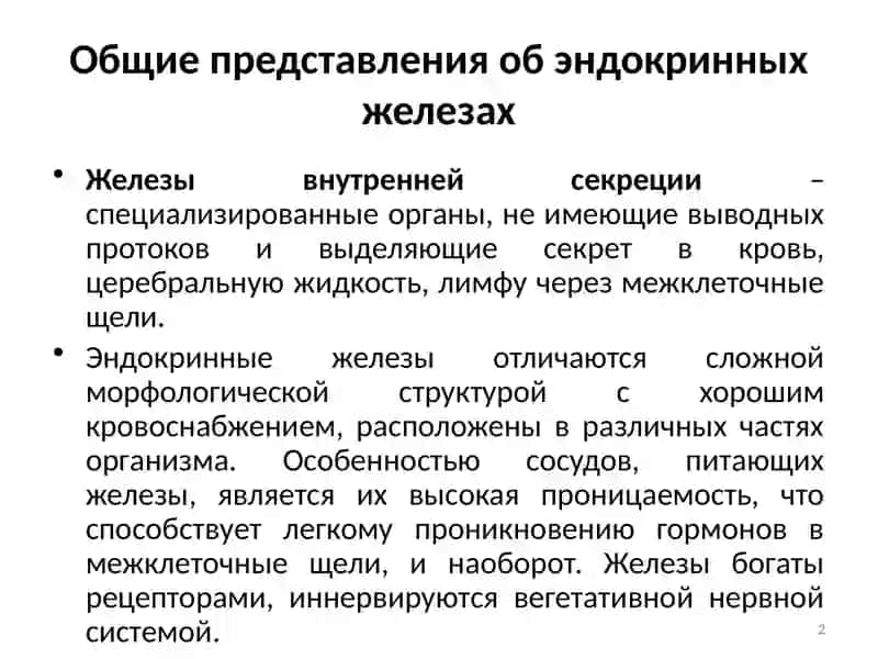 Физиология эндокринной системы 2