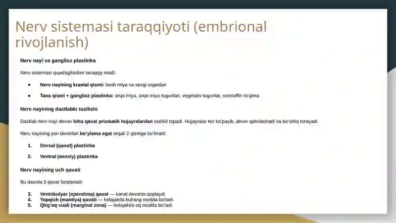 Nerv sistemasi 2