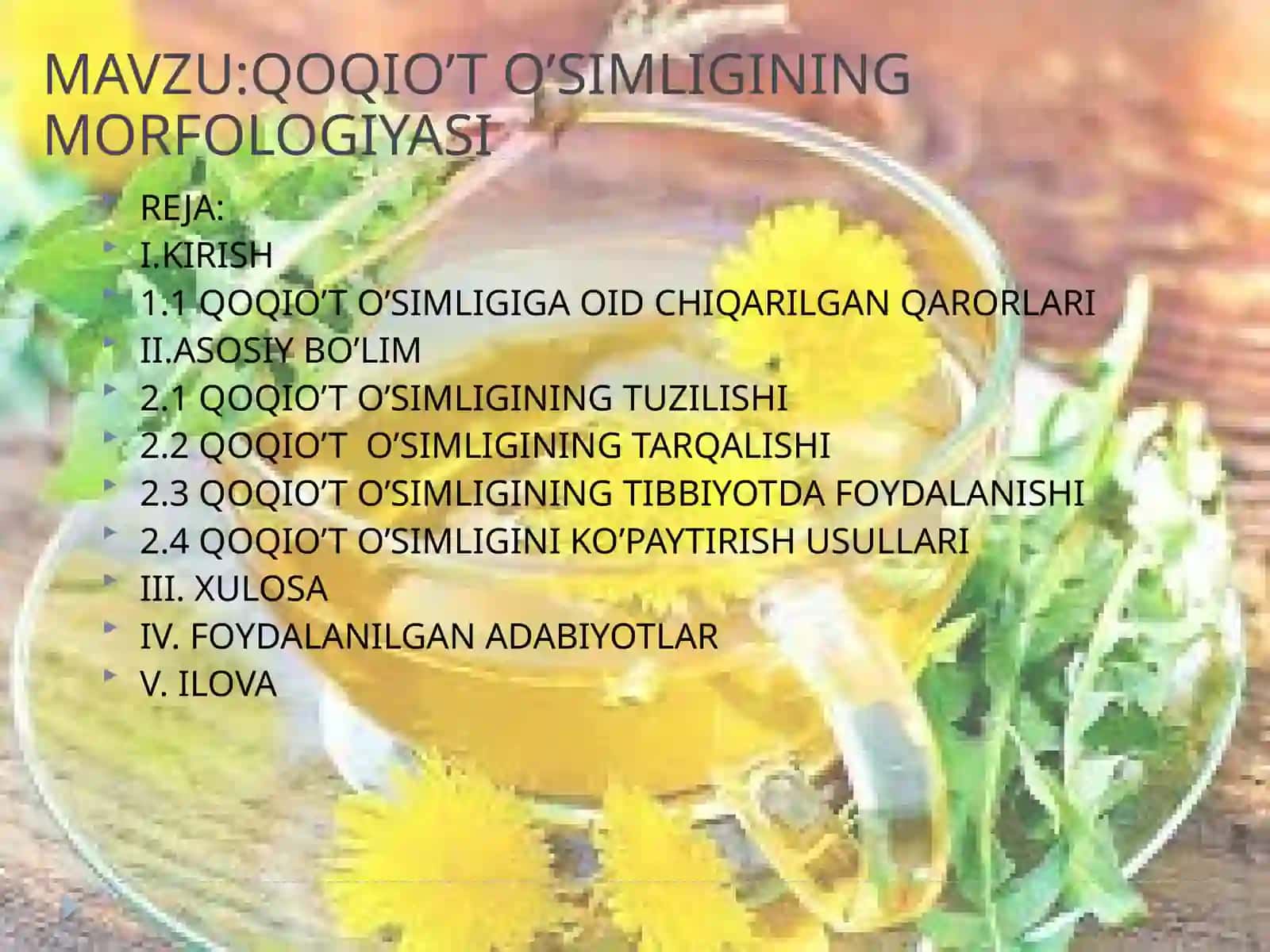 QOQIO’T O’SIMLIGINING MORFOLOGIYASI 2