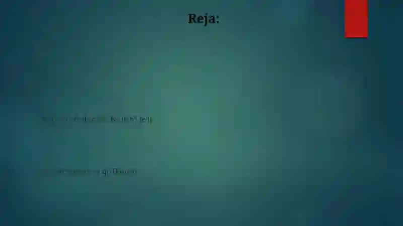 Birlik va Ko'plik 2