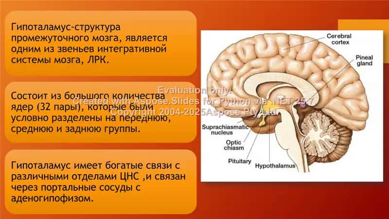 Гипоталамический синдром 2