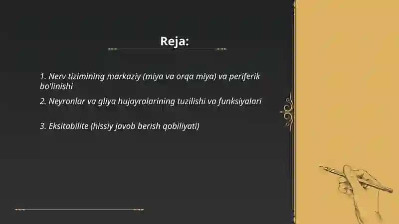 Inson nerv sistemasi asosiy xususiyatlari 2