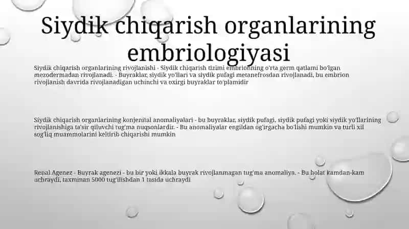Siydik Ayiruv A'Zolarining Rivojlanish Nuqsonlari 2