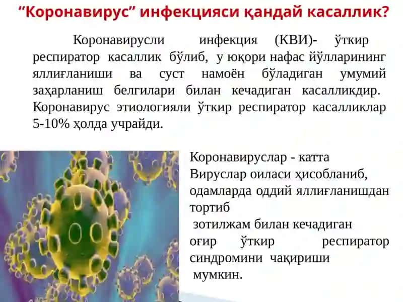 Корона вирус инфекция 2