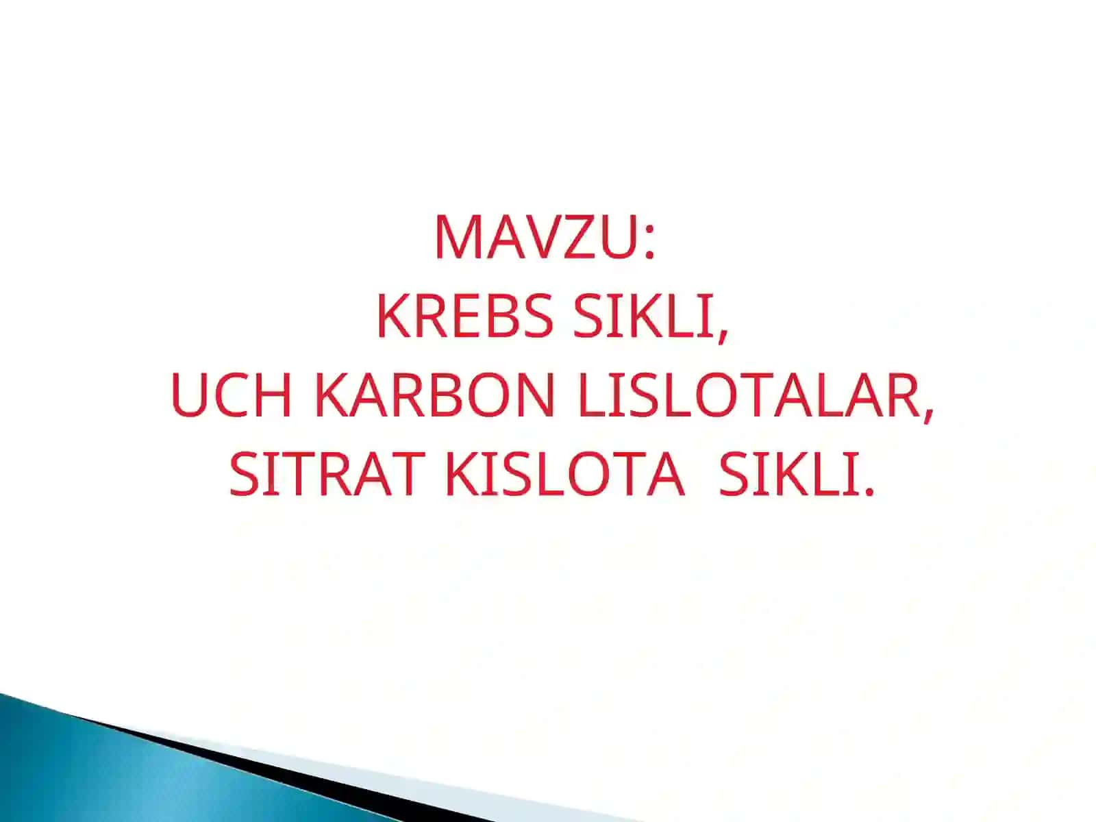Krebs Sikli 2