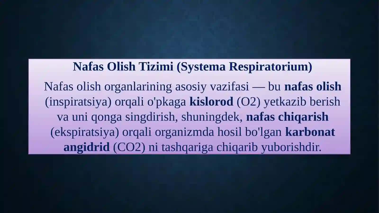 Nafas sistemasi 2
