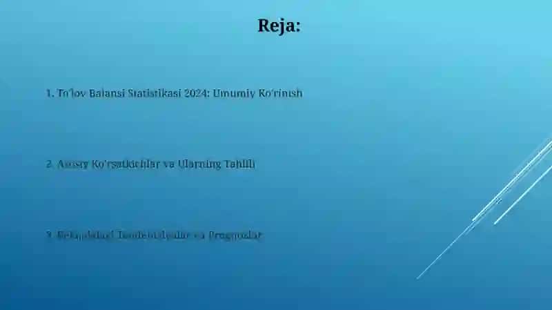 To'lov Balansi Statistikasi 2024-yil 2
