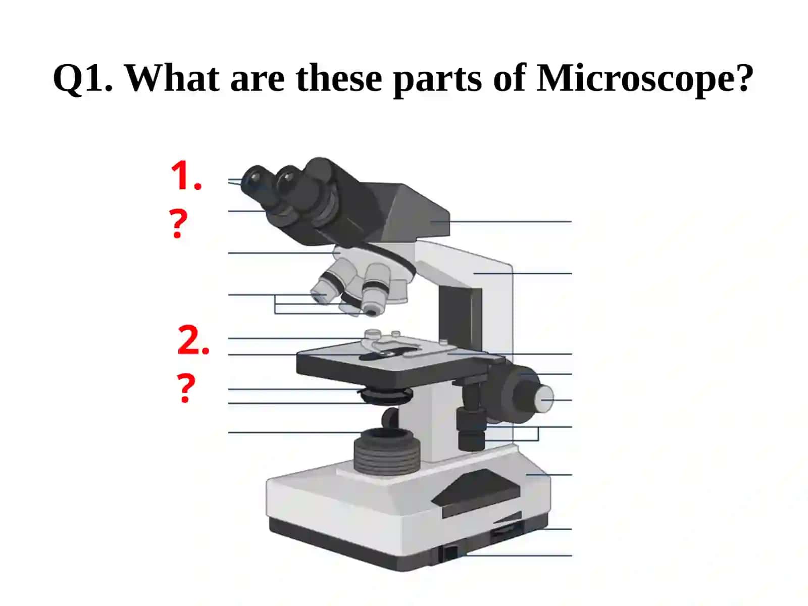 Medical Biology 2