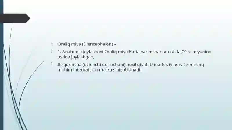 Oraliq Miya (Diencephalon) 2