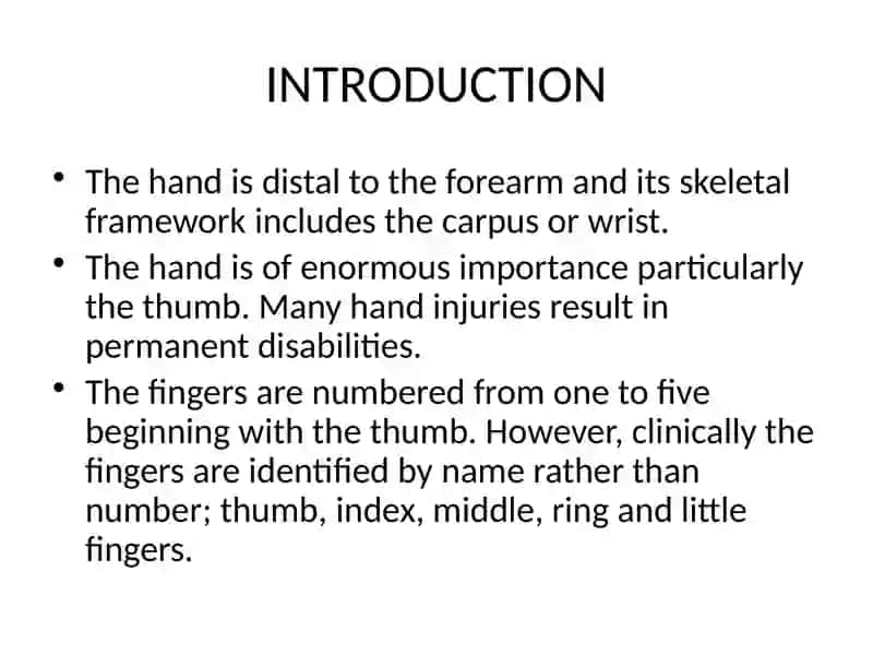 CLINICAL ANATOMY OF THE HAND 2