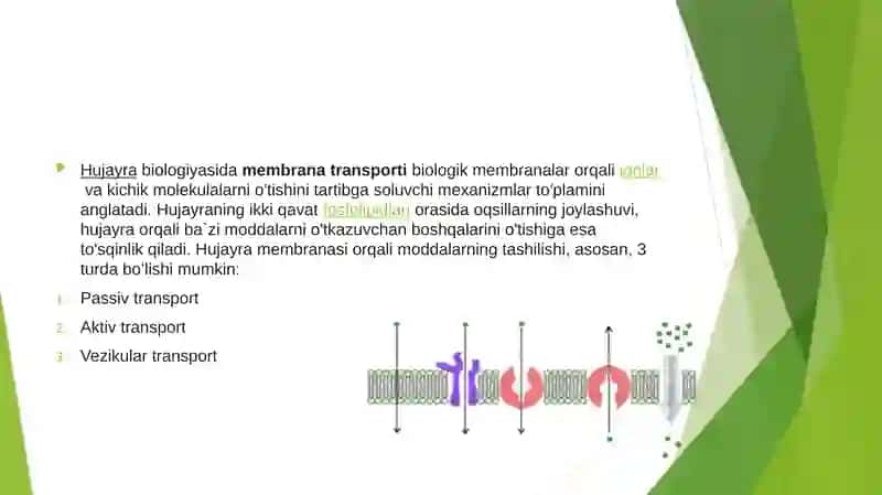 Hujayra biologiyasi 2