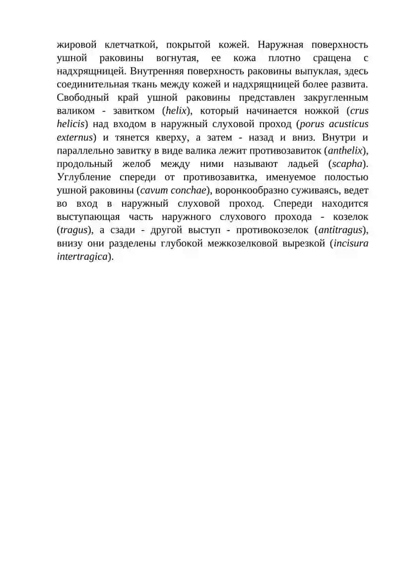 Клиническая анатомия слухового анализатора 2