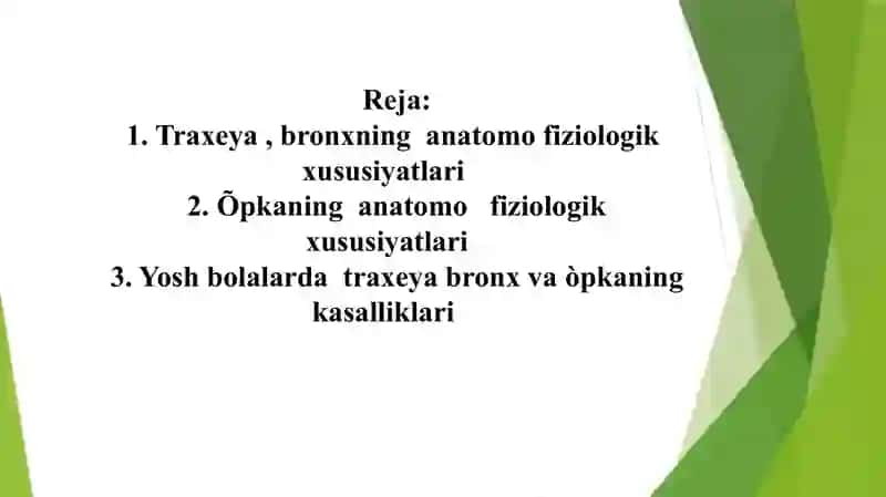 Traxeya, bronx va òpkaning anatom-fiziologik xususiyatlari 2