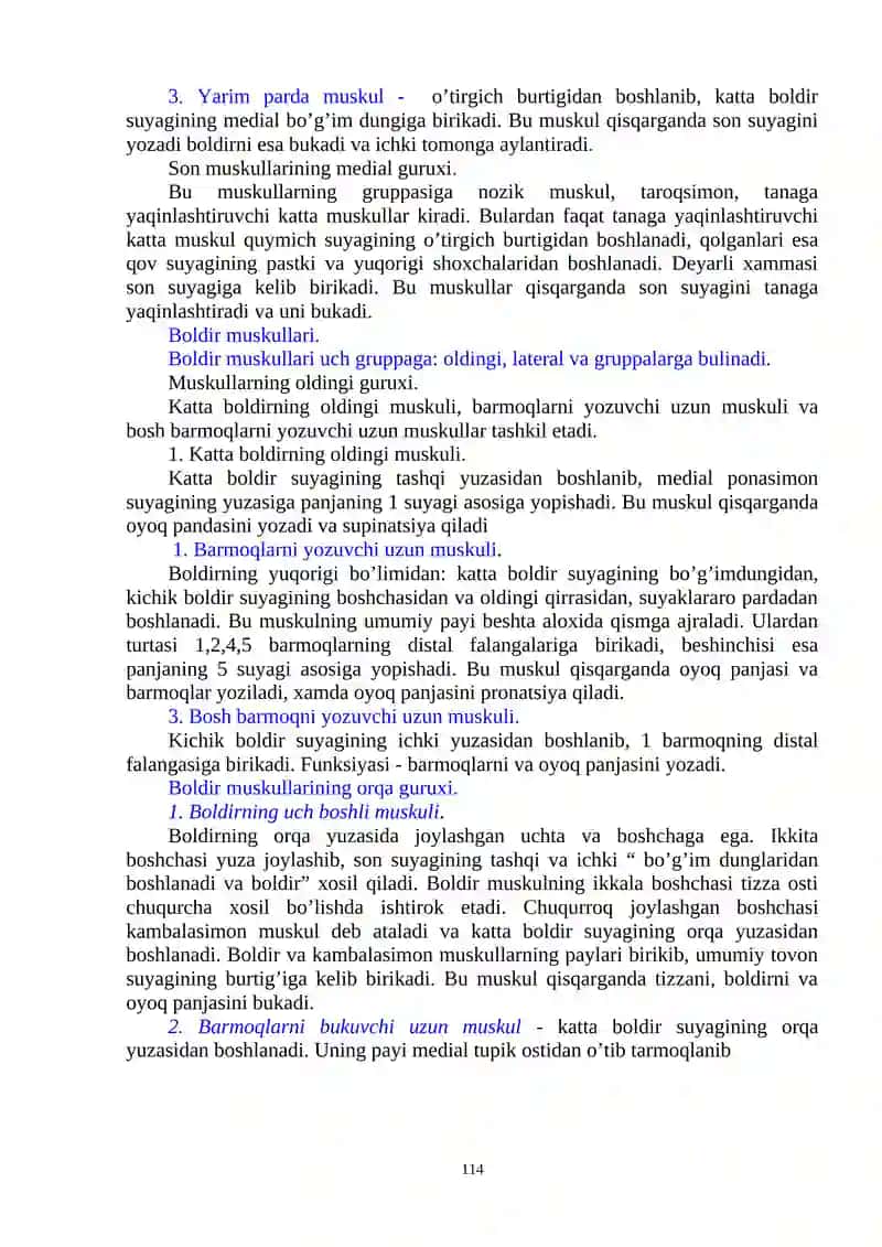 Oyoq muskullari 2