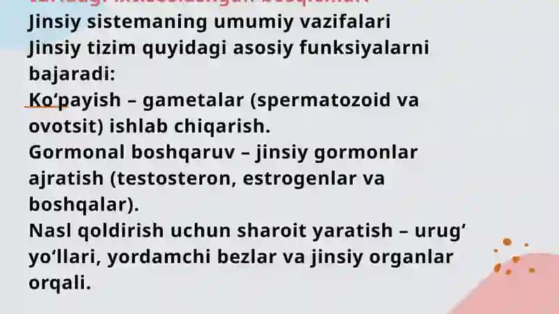 Erkaklar jinsiy tizimi 2