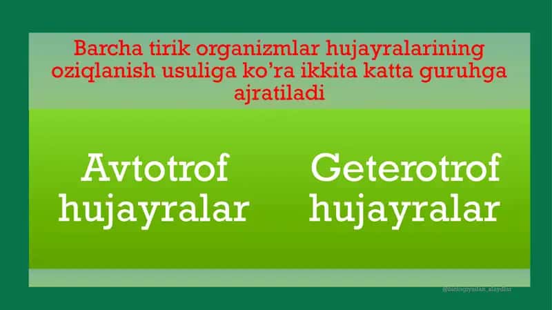 "HUJAYRA VA UNING TARKIBIY QISMLARI" 2