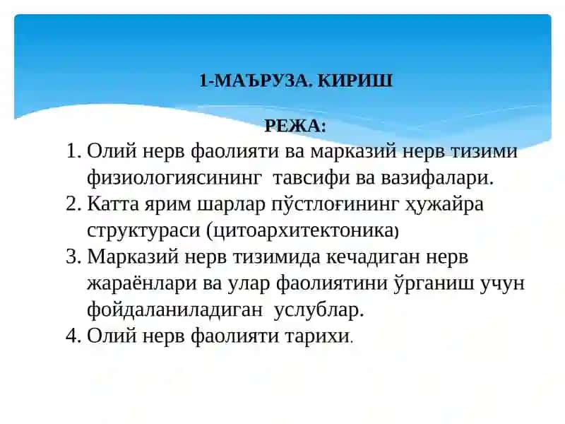 ОЛИЙ NERV SISTEMASI HAQIDA TUSHUNCHA 2