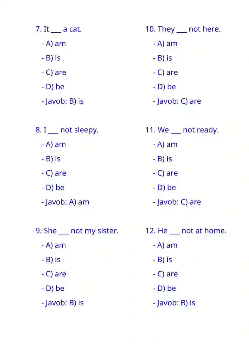 English Grammar Quiz 2