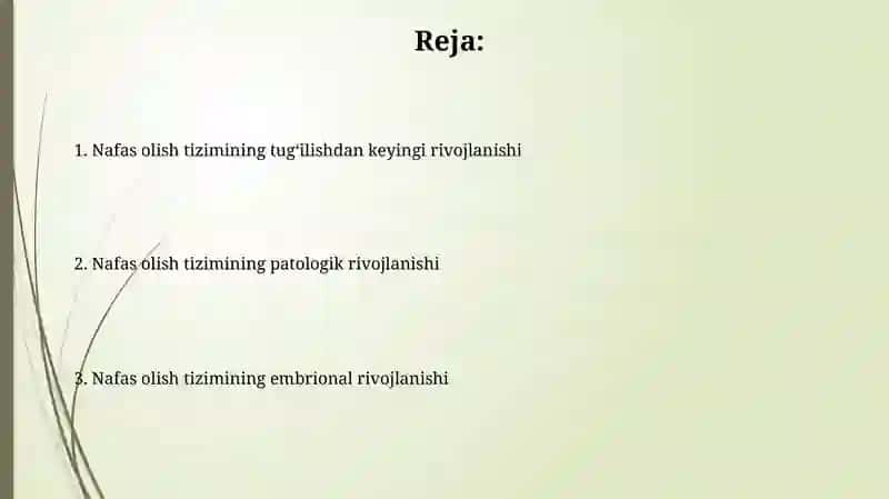 Nafas olish organlari taraqqiyoti 2