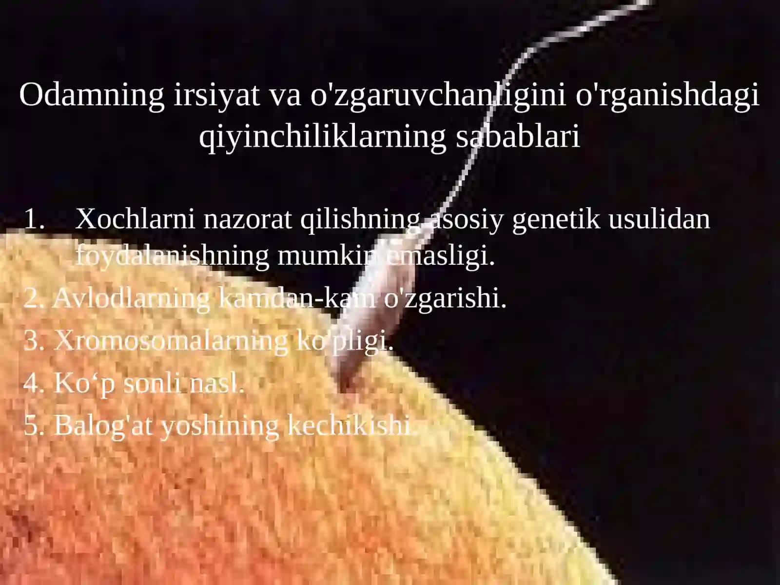 Jinsiy aloqa genetikasi 2