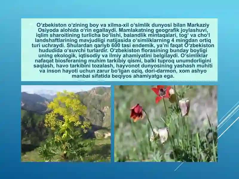 O‘ZBEKISTONNING NOYOB QIZIL KITOBGA KIRITILGAN O‘SIMLIKLARI 2