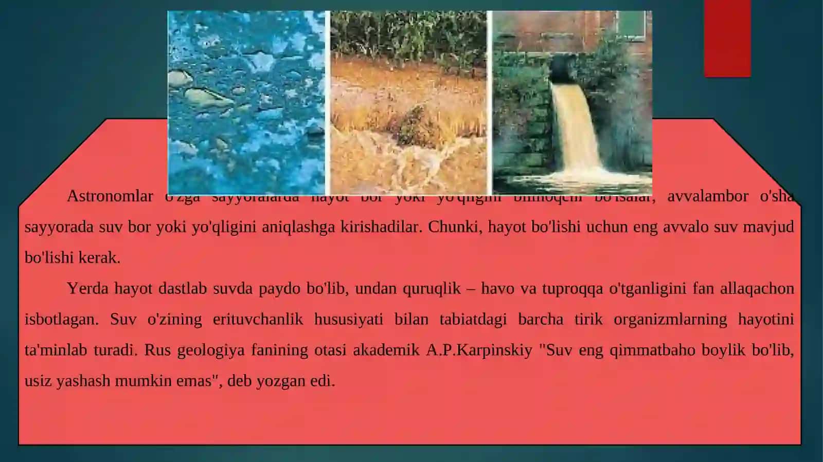 Suv resurslarini ifloslanishdan himoya qilish chora tadbirlari 2