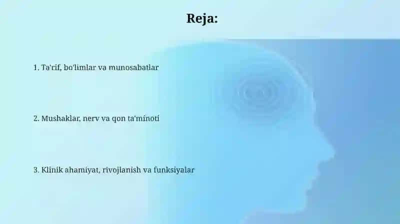 Halqumning klinik anatomiyasi 2
