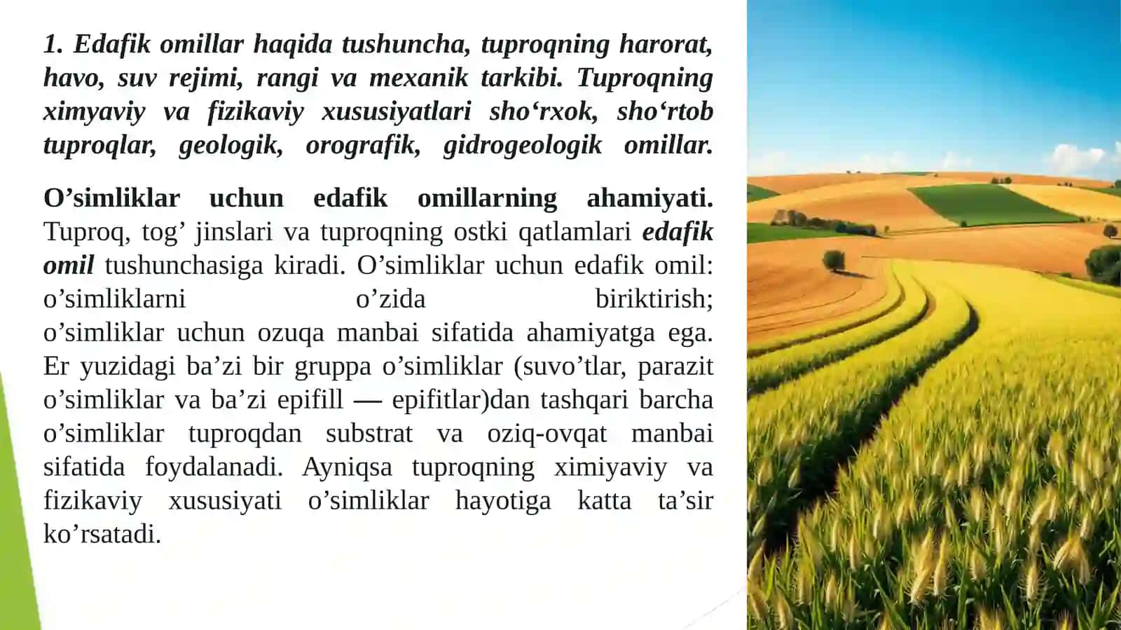 O'simliklarning hayotiy shakllari 2