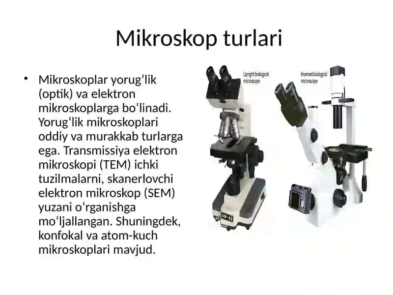 Mikroskop va uning kashfiyoti 2