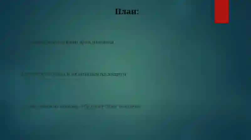 Права человека 2