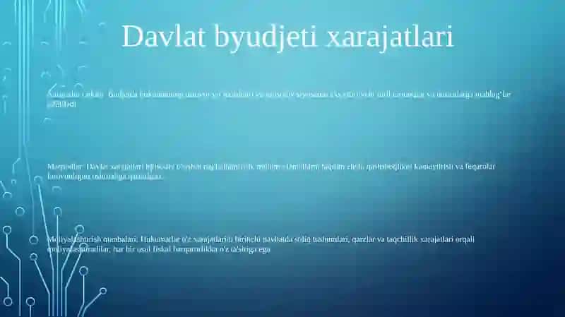 Budjetdan Moliyalashtirishning Amaliyotdagi Shakllari 2