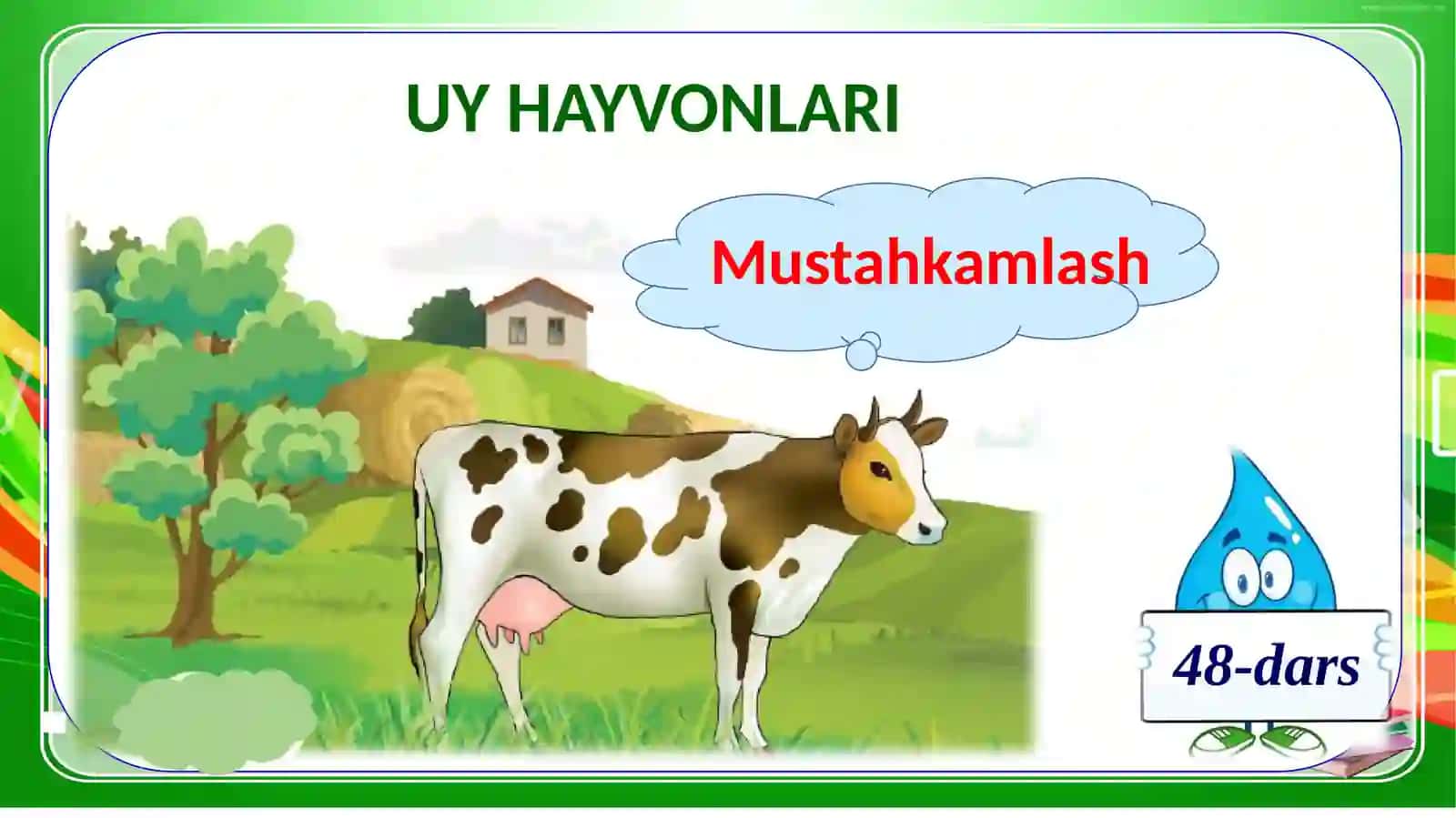 UY HAYVONLARI 2