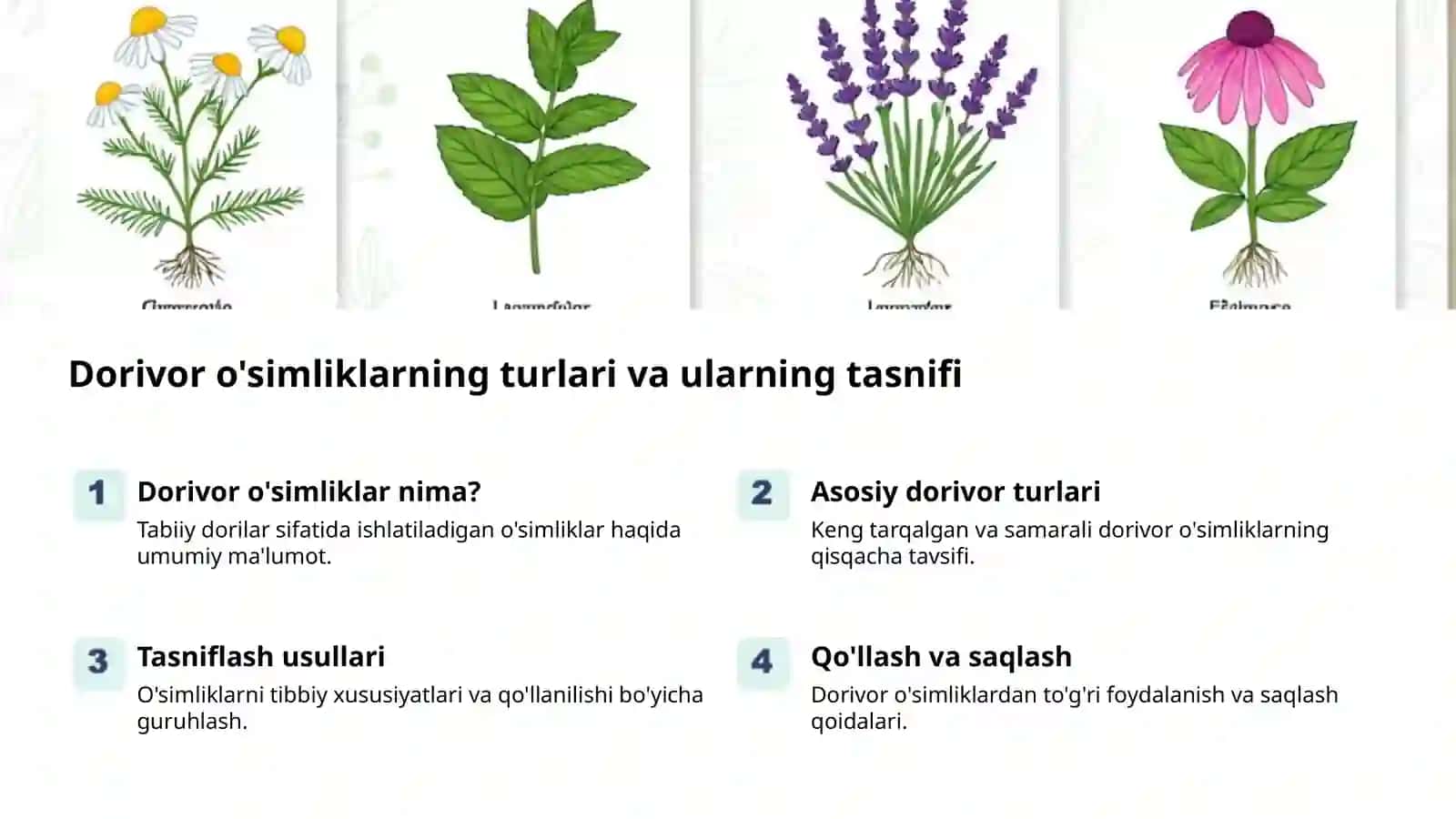 Tabiatning Sog'liq Xazinasi 2
