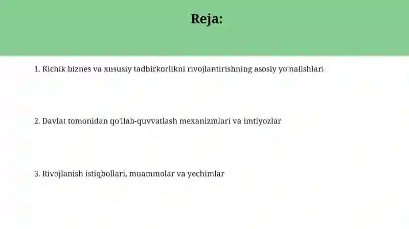 Kichik biznes va xususiy tadbirkorlik 2