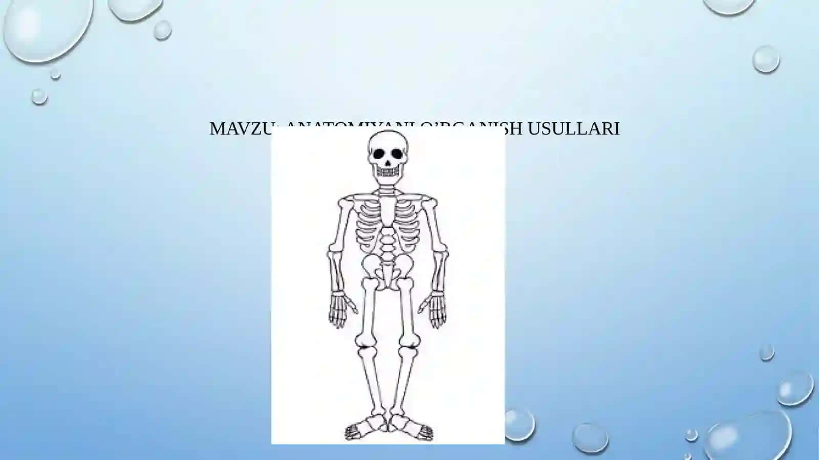 ALIBOYEVA DILDORANING ANATOMIYA TAQDIMOTI 2