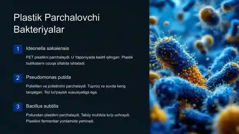 Plastik Chiqindilarni Yemiruvchi Mikroorganizmlar 2
