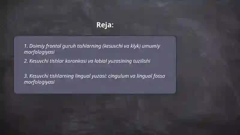 Frontal guruh tishlarning tuzilishi 2
